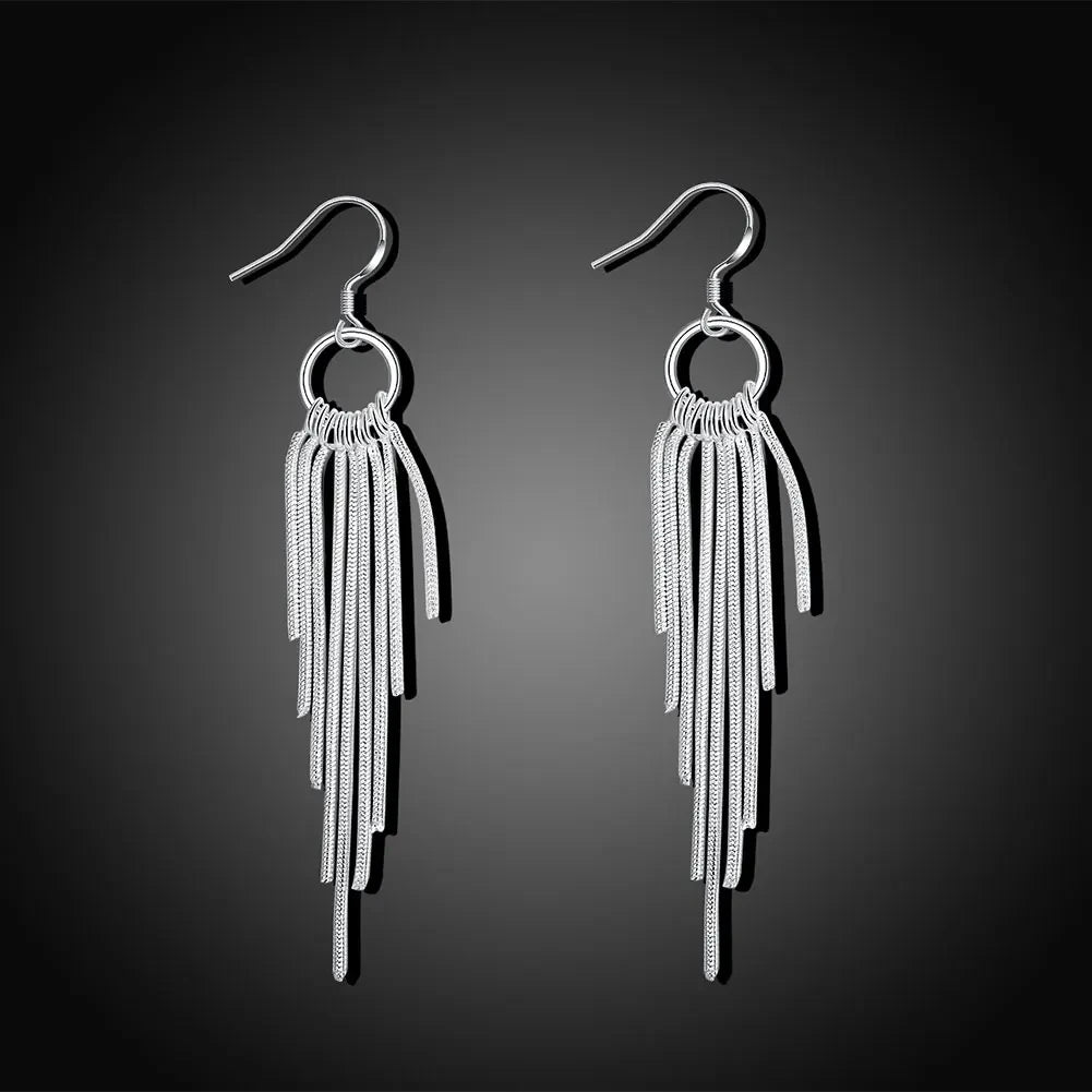 ✨ 925 Silver Tassel Earrings ✨