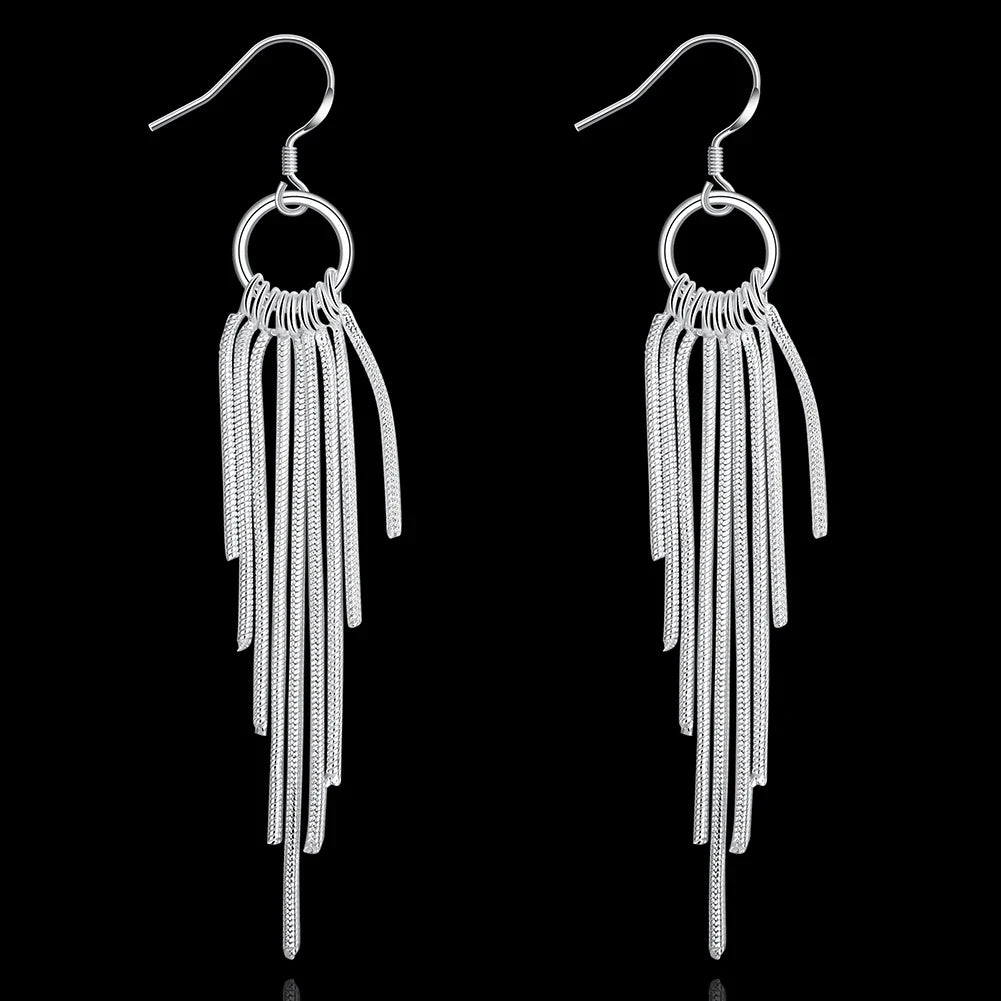 ✨ 925 Silver Tassel Earrings ✨