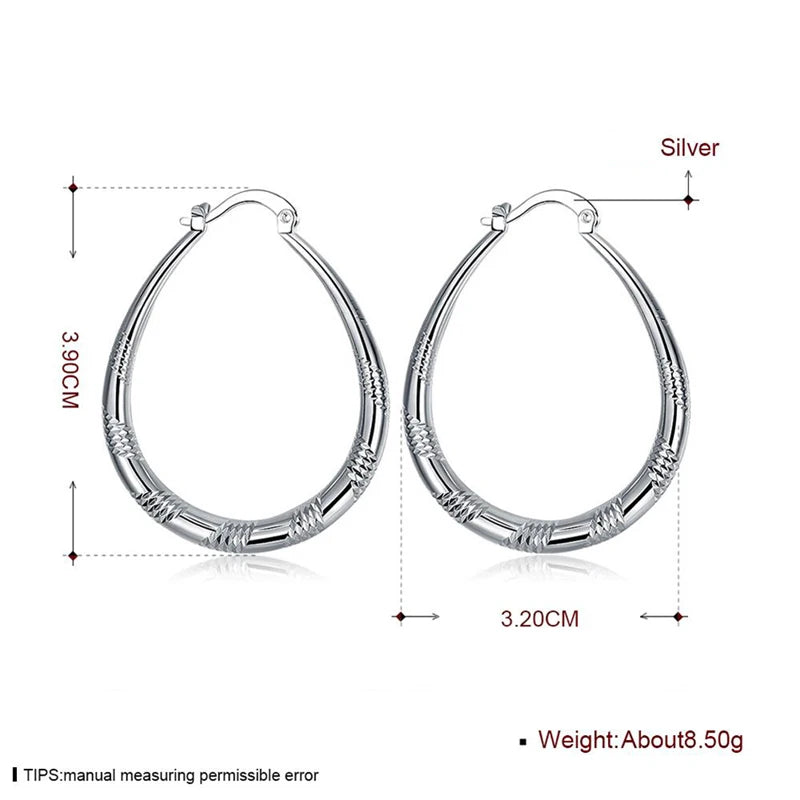 ✨ Luxury 925 Silver Hoop Earrings ✨