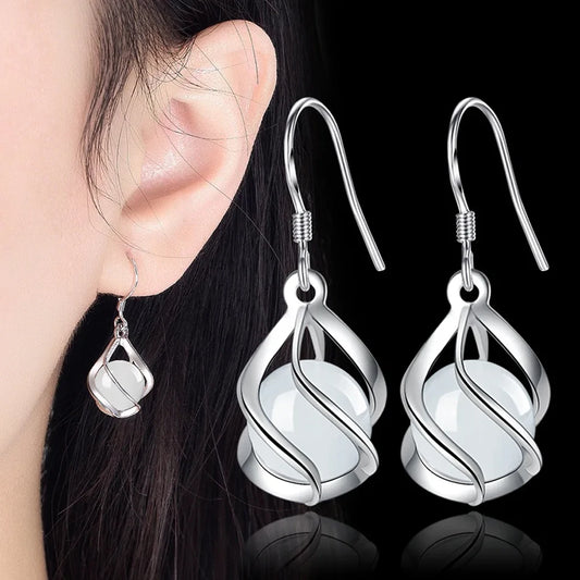 ✨ Elegant Silver Drop Earrings